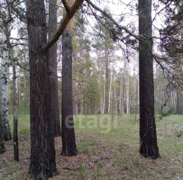 земля г Екатеринбург Ботаническая Улесье кп, 3/225 фото 1