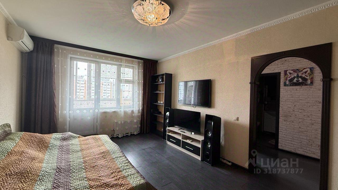 квартира г Люберцы Красная горка пр-кт Гагарина 22к/2 Люберцы фото 7
