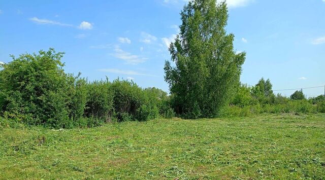 снт Раздолье сельсовет, 55, Булгаковский фото