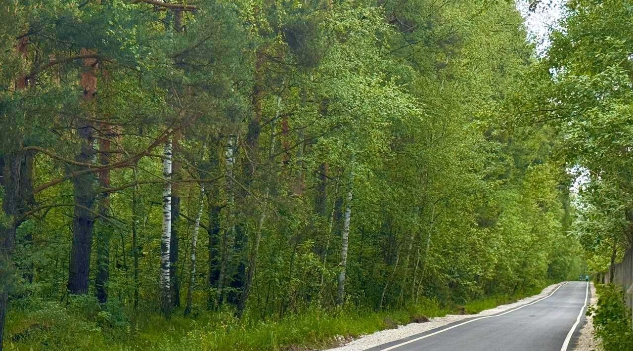 земля городской округ Богородский г Электроугли ул Рогожская Железнодорожная фото 8