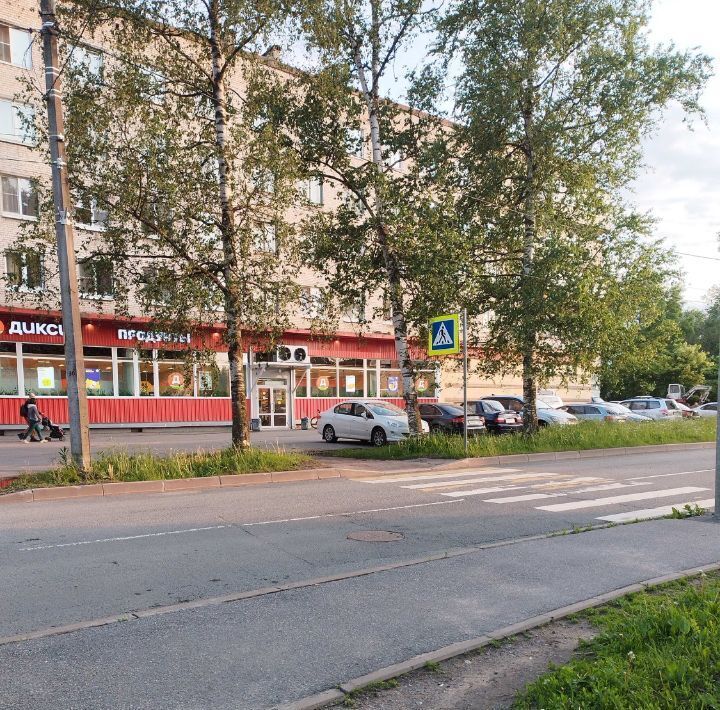 квартира г Павловск метро Купчино ул Берёзовая 27 фото 3