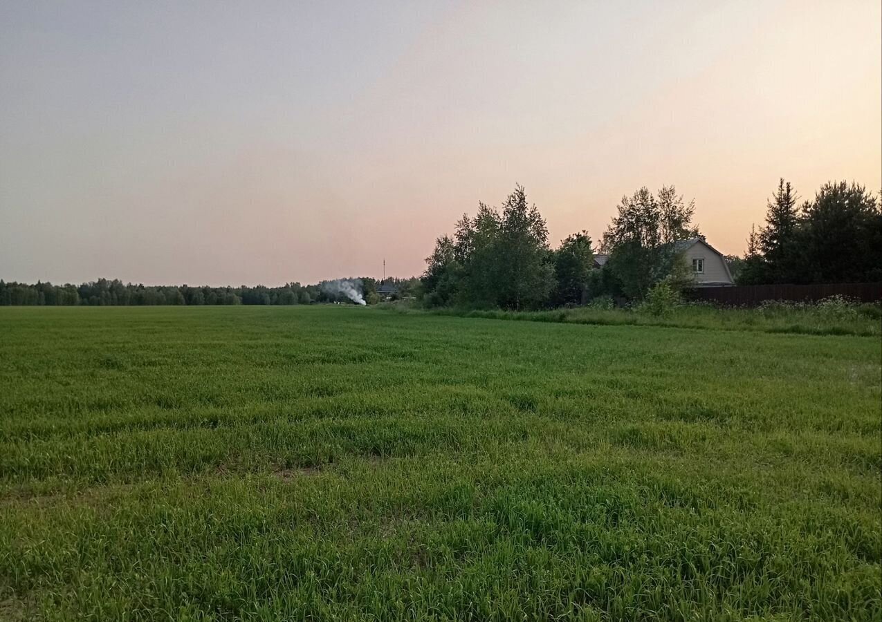 земля городской округ Пушкинский г Красноармейск 33 км, д. Березняки, Ярославское шоссе фото 8
