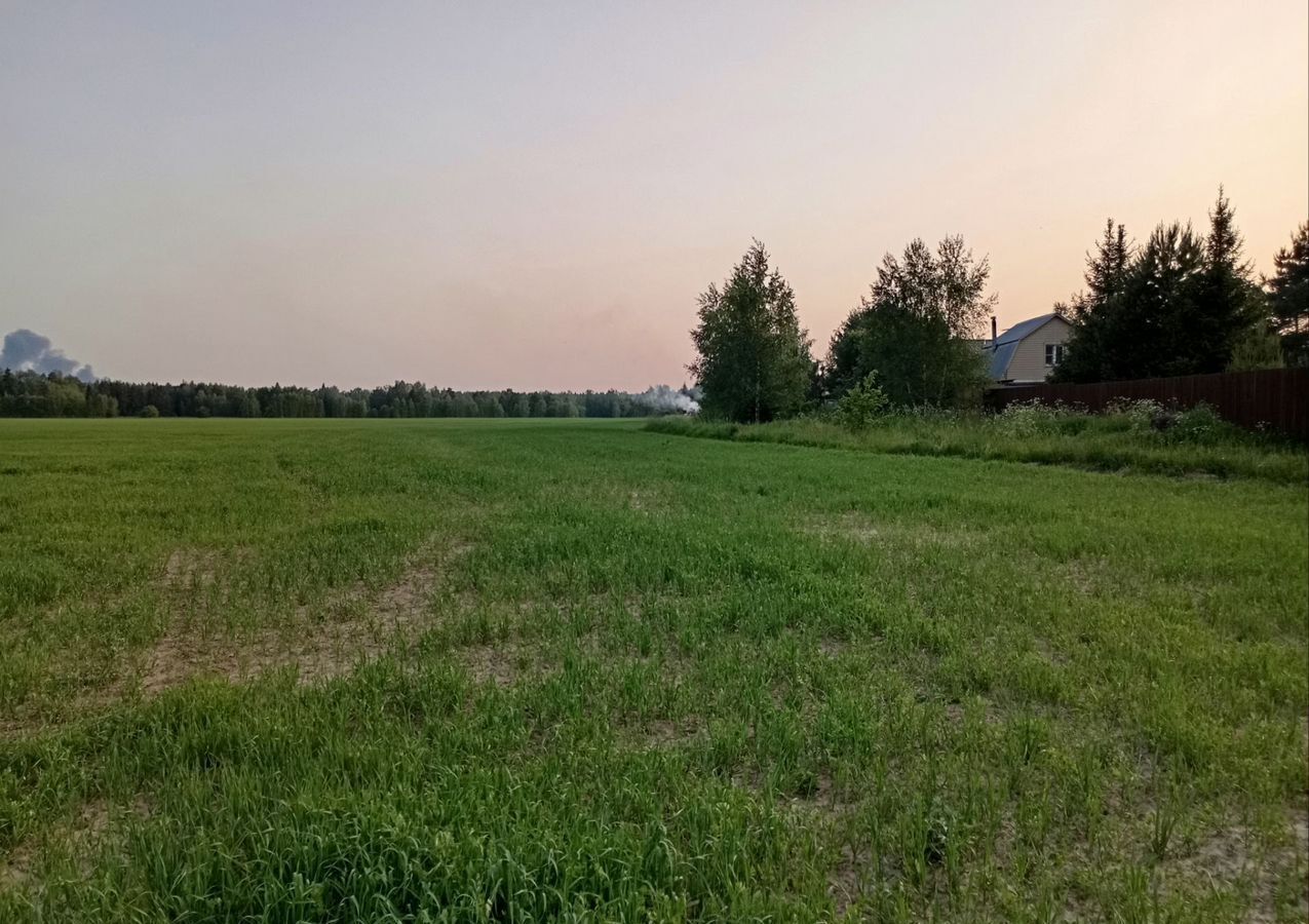 земля городской округ Пушкинский г Красноармейск 33 км, д. Березняки, Ярославское шоссе фото 10