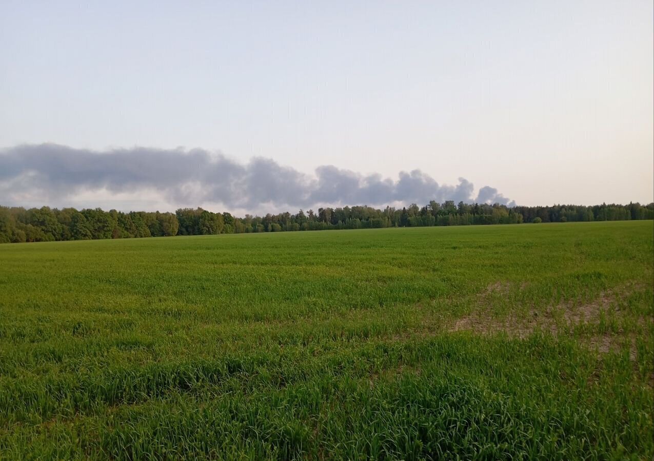 земля городской округ Пушкинский г Красноармейск 33 км, д. Березняки, Ярославское шоссе фото 13