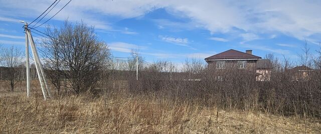 земля д Пушкино Домодедовская фото