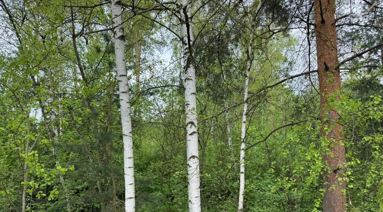 офис городской округ Богородский г Электроугли Железнодорожная фото 3