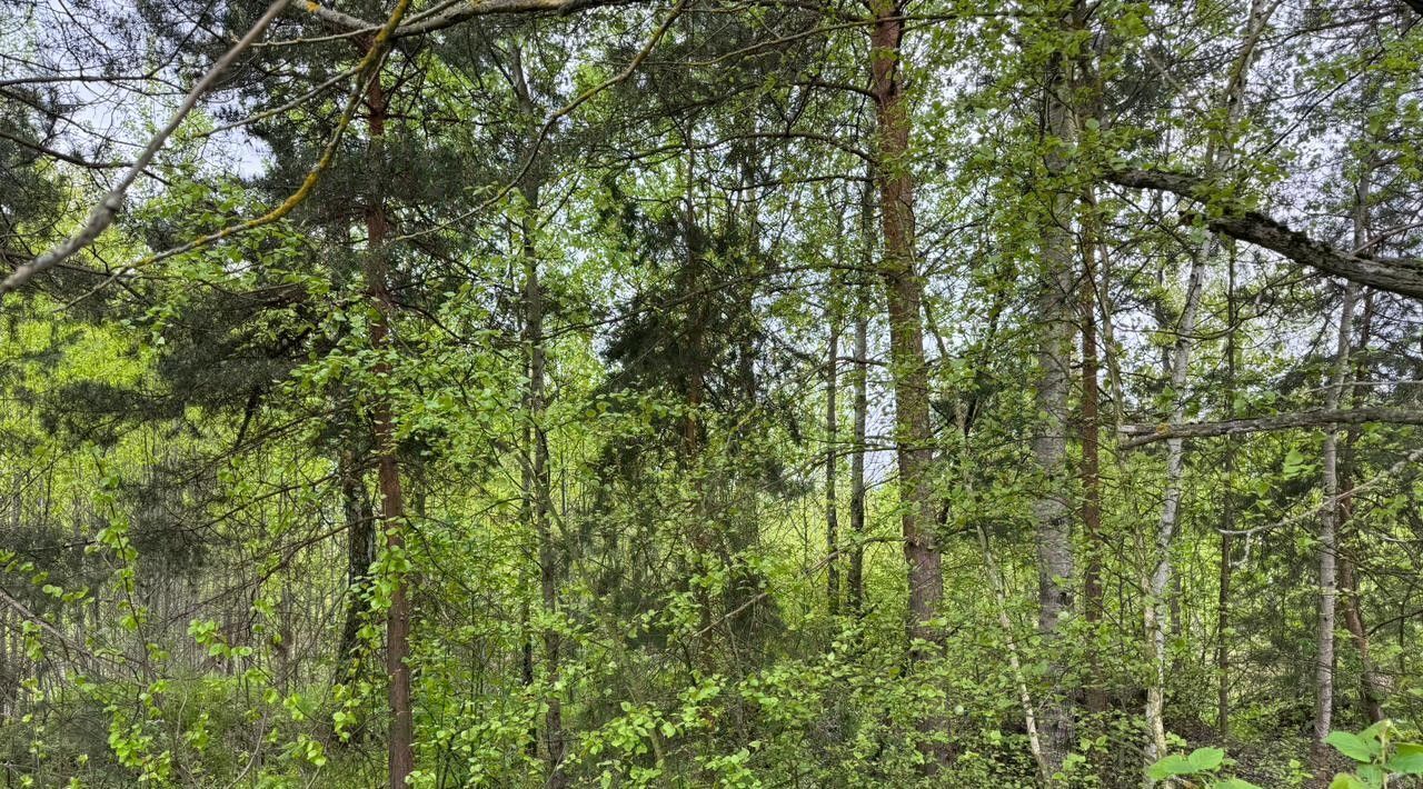 офис городской округ Богородский г Электроугли Железнодорожная фото 4