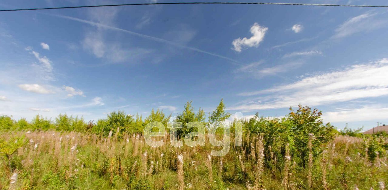 земля г Шадринск ул Еловая Газовик кп фото 3
