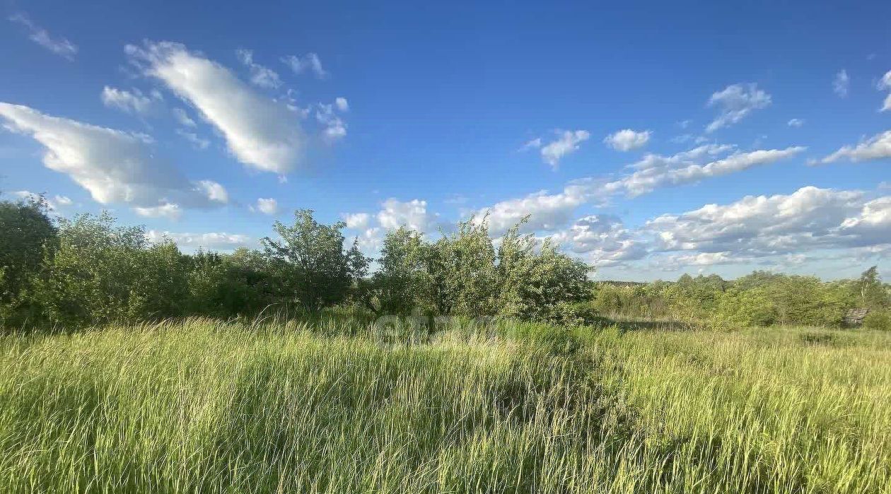 земля г Саранск с Куликовка ул Крупской фото 4