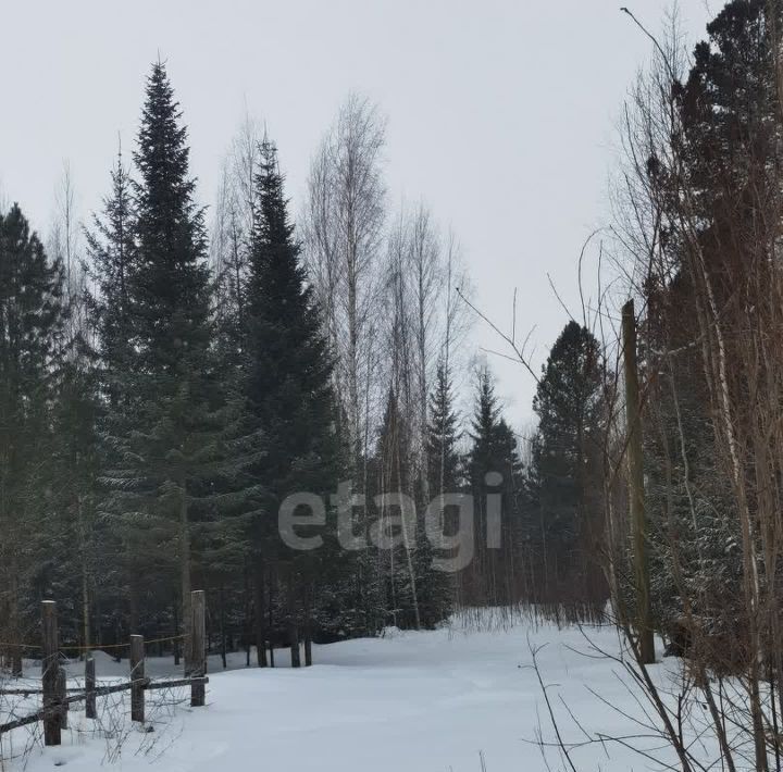 земля г Ханты-Мансийск снт Дорожник-2 СОТ фото 4