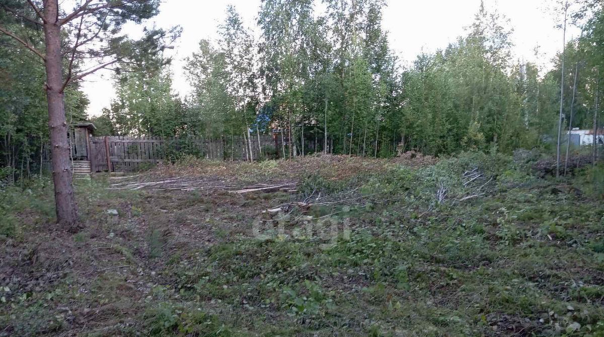 земля г Ханты-Мансийск снт Следопыт СОТ фото 5