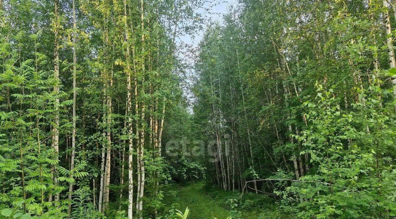 земля г Ханты-Мансийск фото 5