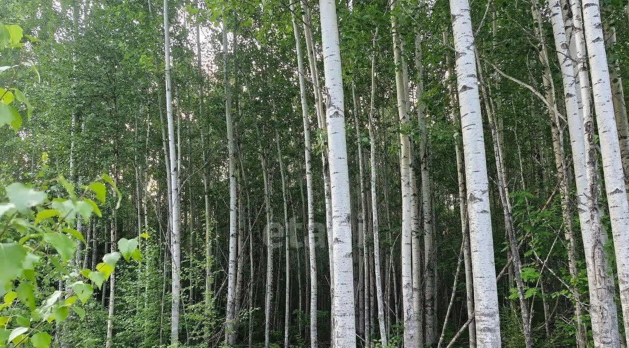 земля г Ханты-Мансийск фото 6