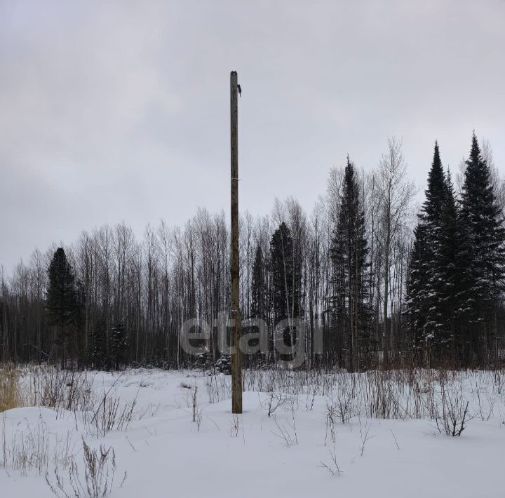 земля г Ханты-Мансийск Медик СОТ, 1 фото 7