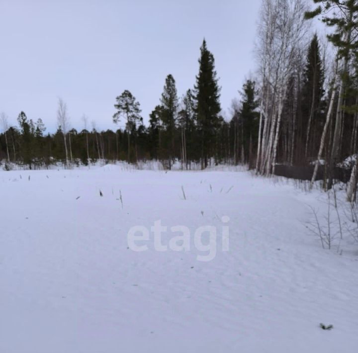 земля г Ханты-Мансийск снт Геофизик-2 СОТ фото 8