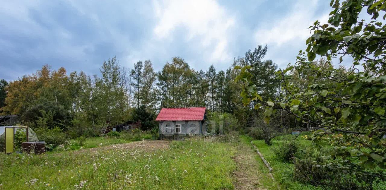дом г Комсомольск-на-Амуре снт терХумми ул. Дорожная, 18 фото 8