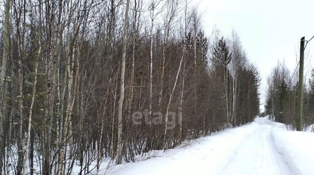 земля г Ханты-Мансийск снт Геофизик-2 СОТ фото 5