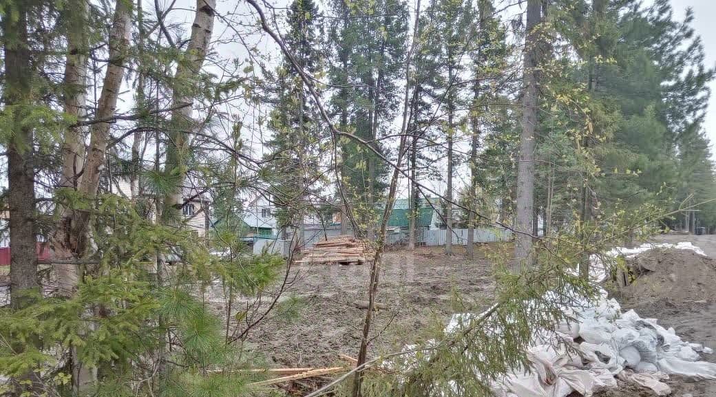 земля г Ханты-Мансийск снт Движенец СОТ фото 6