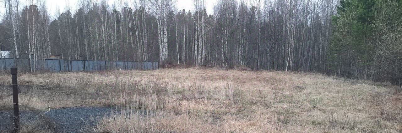 земля г Ханты-Мансийск снт Бытовик СОТ фото 5