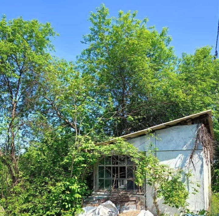 земля г Благовещенск тер Светлана фото 5