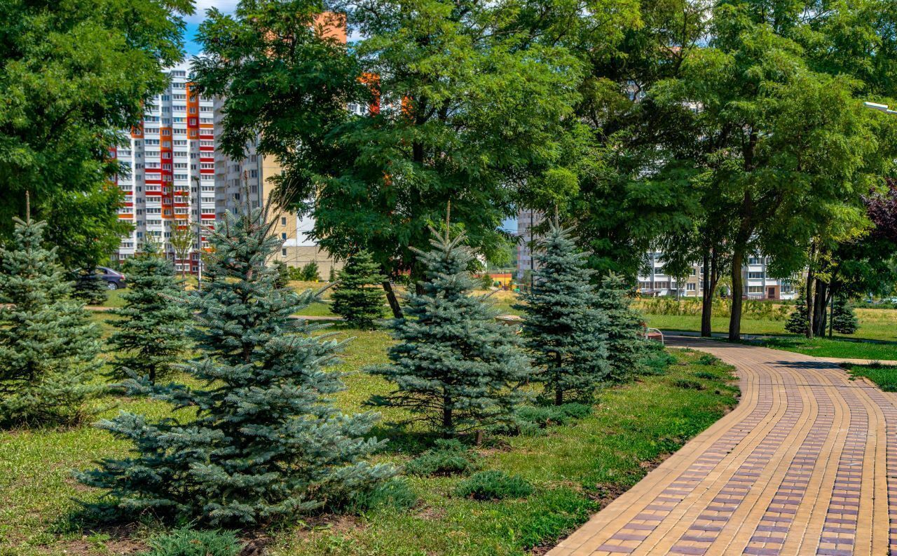 квартира г Ростов-на-Дону р-н Октябрьский ул Вавилова 23 фото 8