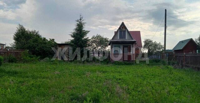 снт Радостное Бердское шоссе фото