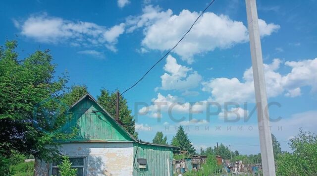 с Надеждино снт Сирена Надеждинское с/пос фото