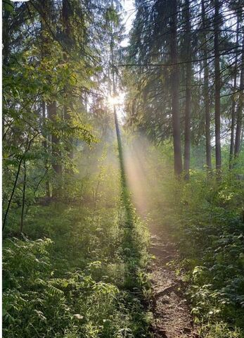 земля загородный пос. Фэмили Парк Бобки-2, Пермь фото