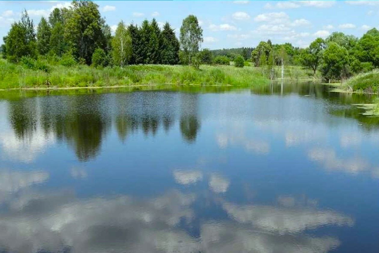 земля г Домодедово с Ильинское 42 км, городской округ Домодедово, Новокаширское шоссе фото 6
