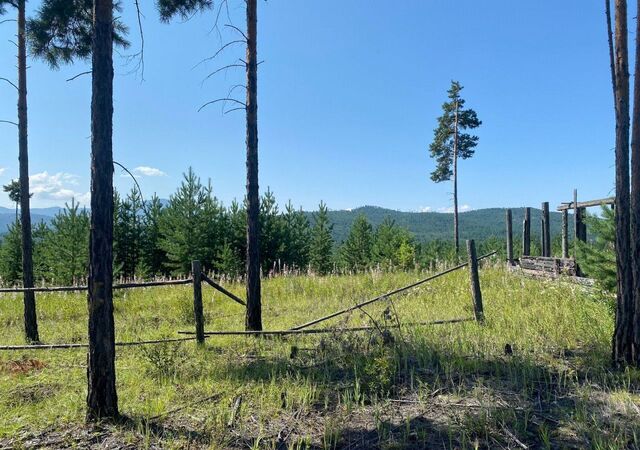 земля р-н Октябрьский днт Октябрьское ул Петербужская фото