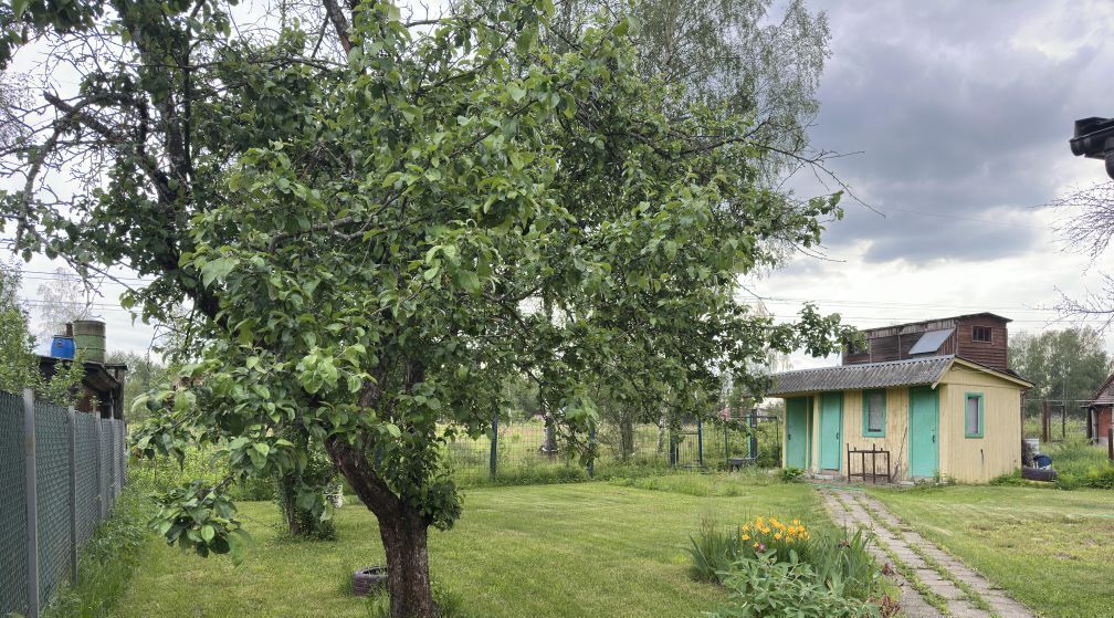 дом городской округ Богородский г Ногинск снт Восток Большое Буньково фото 4