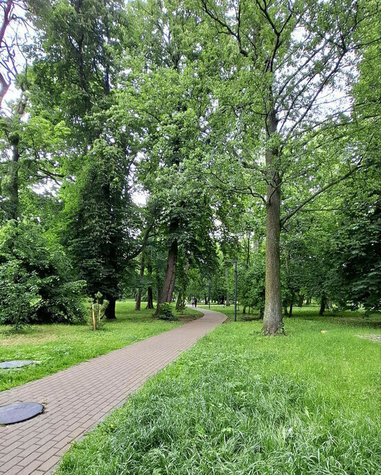 квартира р-н Зеленоградский г Зеленоградск пер 1-й Октябрьский 13 фото 19