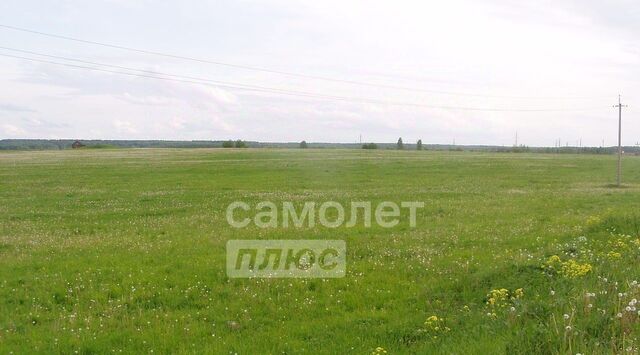 ул Центральная фото