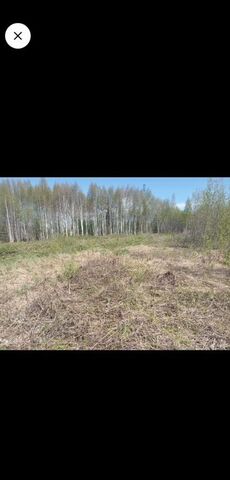 земля квартал Орловский фото