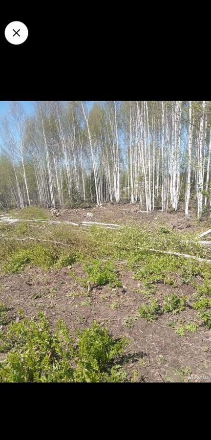 земля г Златоуст квартал Орловский фото 2