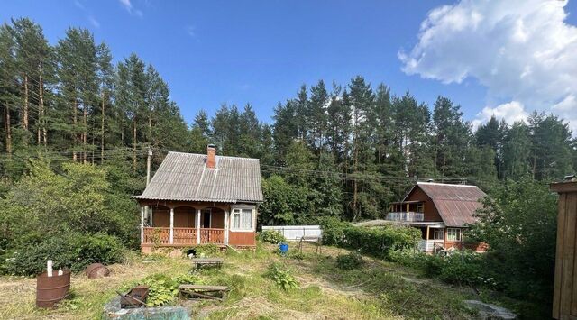 снт Вельские дали фото