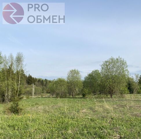 Лесницыно кп фото