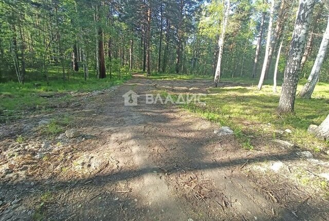земля квартал Поле 2 снт Березовая роща 1 фото