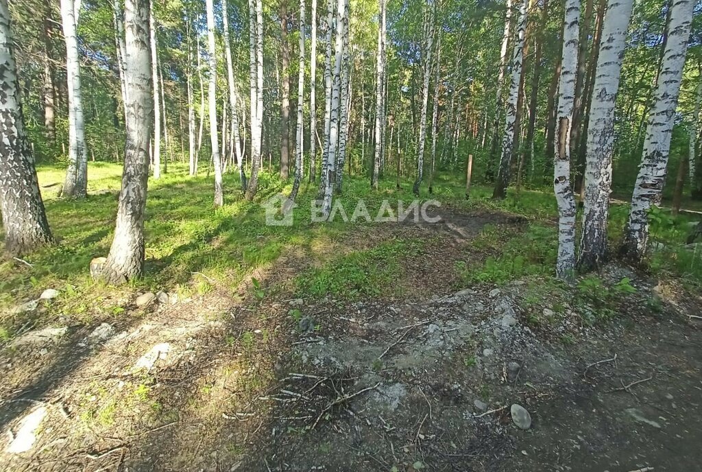 земля г Ангарск квартал Поле 2 снт Березовая роща 1 фото 3
