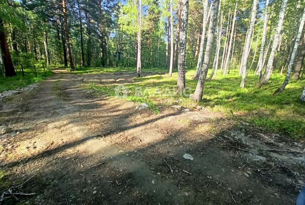 земля г Ангарск квартал Поле 2 снт Березовая роща 1 фото 4