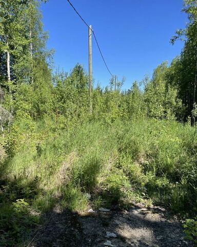 земля снт Учитель-3 Тюменская обл., садово-огородническое товарищество фото