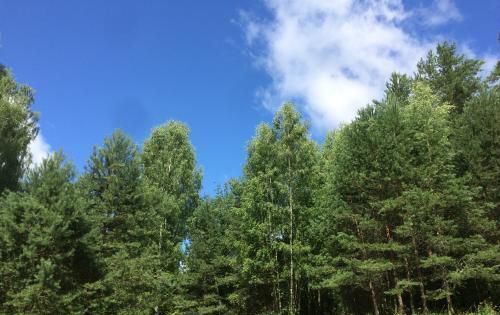 земля г Тобольск Снежная ул фото 1