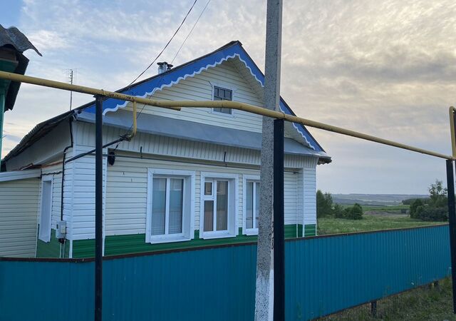 д Сардыган ул Х.Туфана 40 Республика Татарстан Татарстан, Салаусское сельское поселение, Балтаси фото