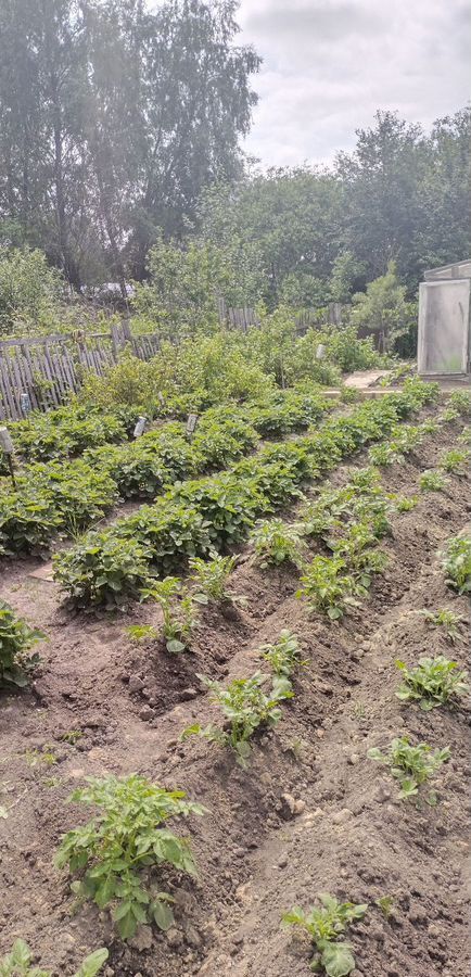 дом г Тобольск ул Клубничная садоводческое товарищество Рябинка фото 18