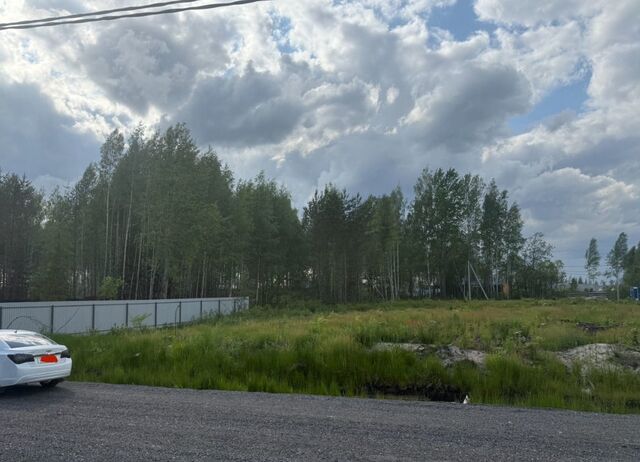 пер Янтарный Дорога жизни, 12 км, Всеволожское городское поселение, КП Щеглово Сити фото