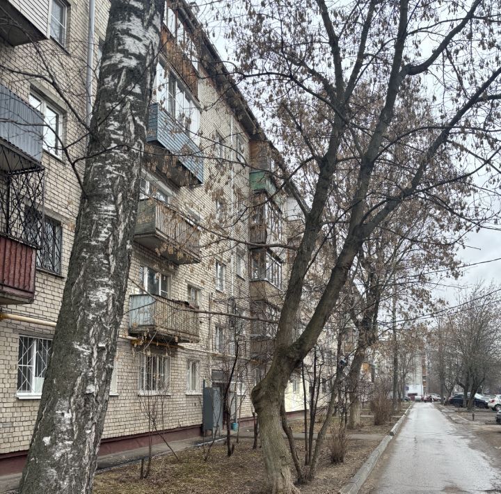 квартира г Нижний Новгород Парк культуры ул Веденяпина 4 фото 1