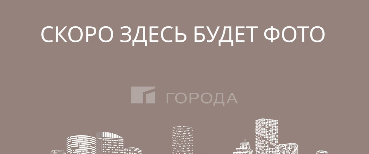 квартира г Новосибирск Фрунзенский Берёзовая роща ул Кошурникова 16 фото 1