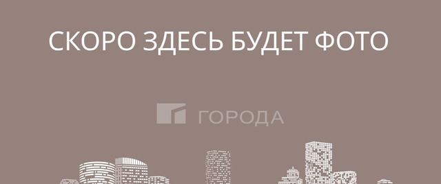 Берёзовая роща Фрунзенский ул Кошурникова 16 фото