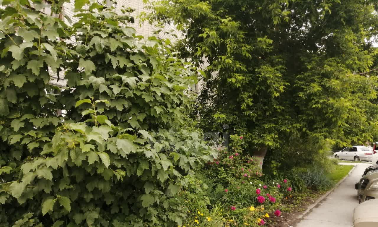 квартира г Бердск ул Рогачева 5 Г м-н фото 19