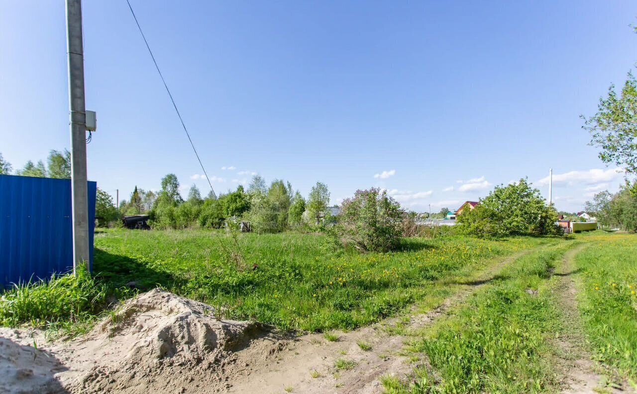 земля г Тобольск садоводческое товарищество Возрождение, Солнечная ул фото 5